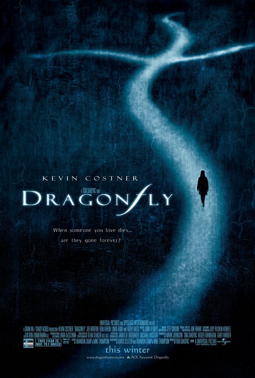 Dragonfly (2002) - Rolled DS Movie Poster