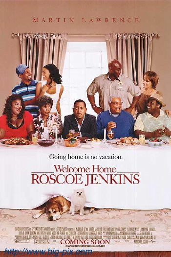 Welcome Home Roscoe Jenkins (2008)
