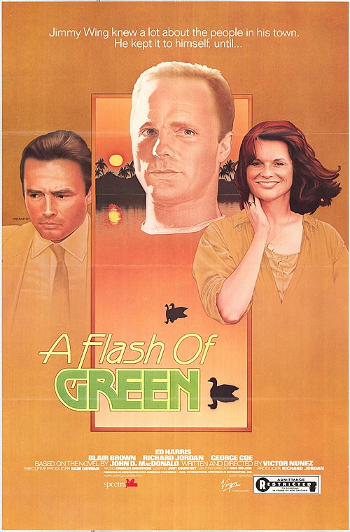 A Flash of Green (1984)